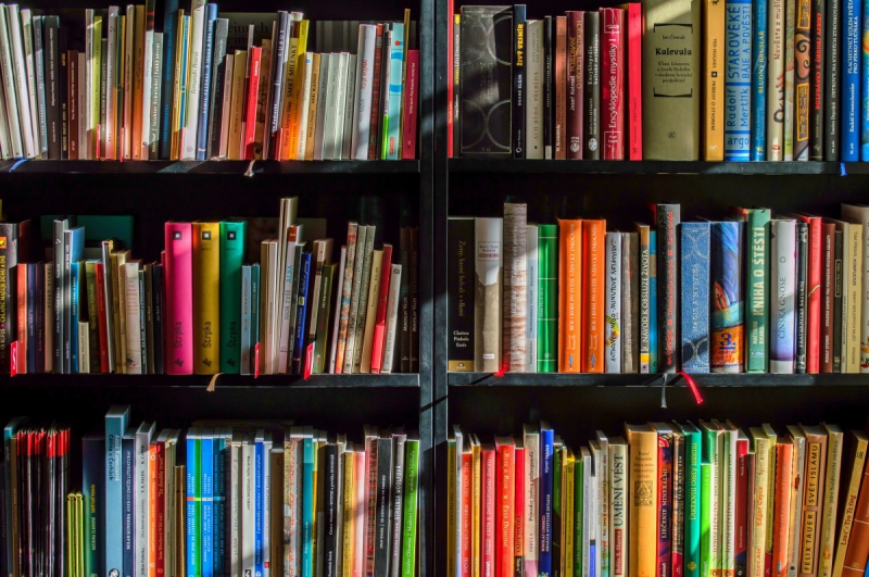 boutique-BARGEMON-min_books_bookstore_book_reading_shop_writer_sale_books_read-822866